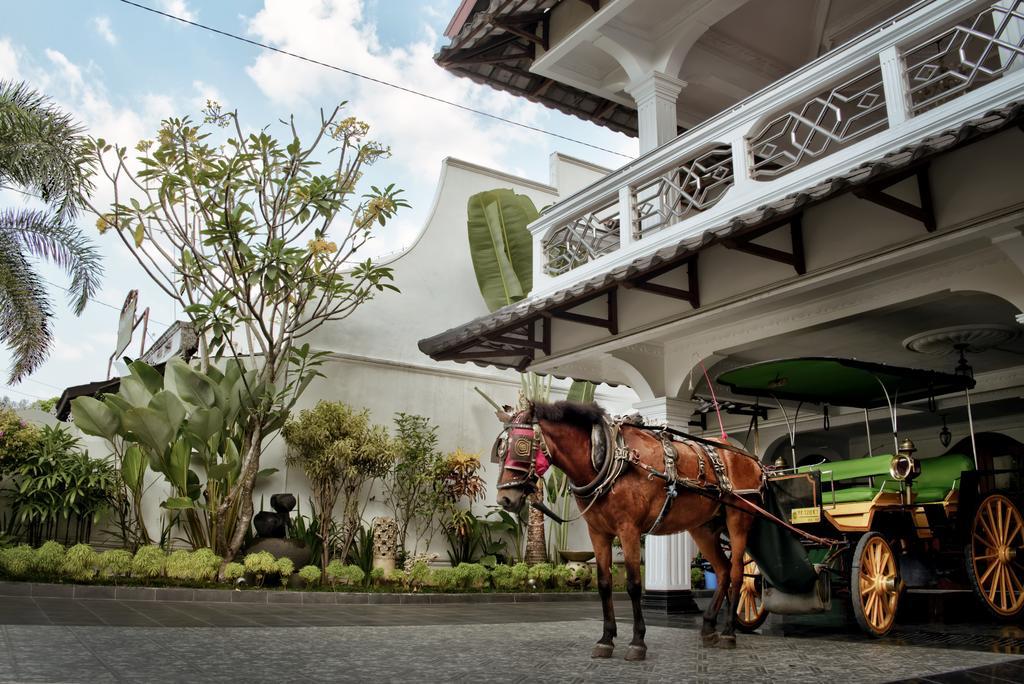 Raintree Boutique Villa & Gallery Yogyakarta Eksteriør billede